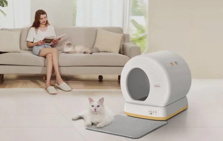 Self-Cleaning Litter Box