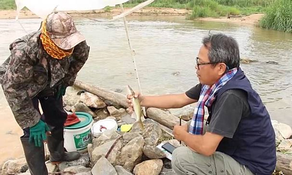 chiang rai river fish arsenic