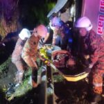 Tragic Bus Crash in Northern Malaysia Claims 15 Lives