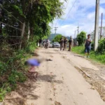 Police Investigate a Double Murder-Suicied