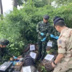 Soldiers Uncover 6 Million Meth Pills Hidden on Chiang Mai Farm