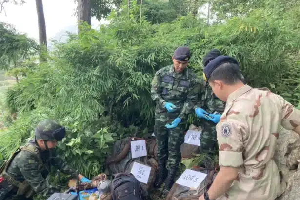 Soldiers Uncover 6 Million Meth Pills Hidden on Chiang Mai Farm