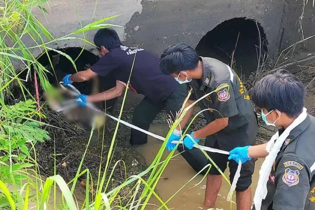 Police Seek Answers After Woman Found Dead in Canal Wearing Only Underwear
