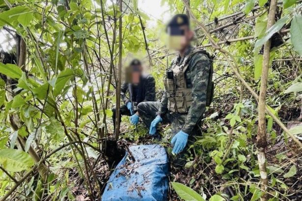 One Million Meth Pills Seized