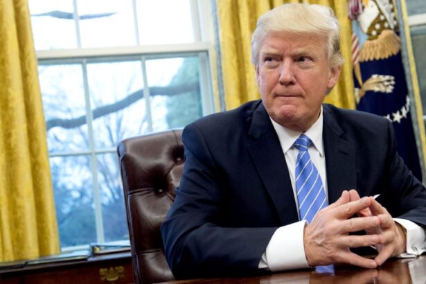 Trump Imposes Travel Ban for 12 Countries Over Security Fears