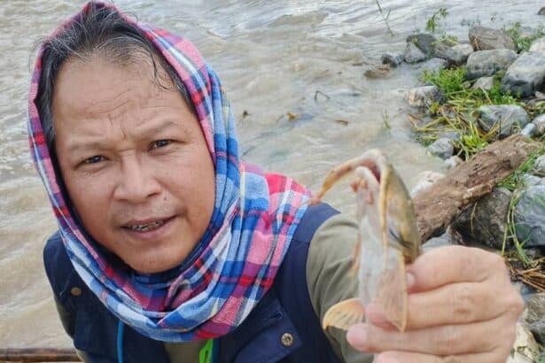 Fish Rivers Chiang Rai