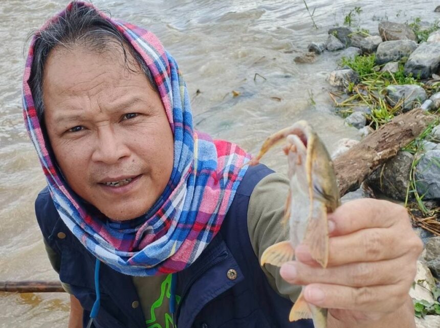 Fish Rivers Chiang Rai