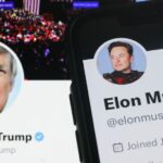 Elon Musk Warns Trump