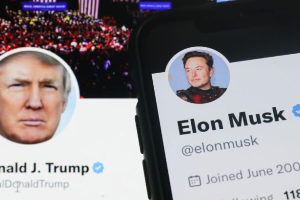 Elon Musk Warns Trump