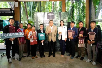MiVana Organic Forest Coffee Launches Campaign to Plant 10,000 Trees in Chiang Rai