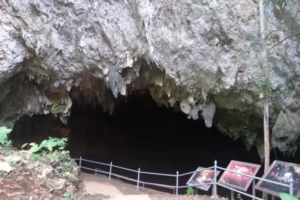 Chiang Rai's Tham Luang Cave Temporarily Closed