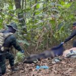 Army Reports 16 Drug Runners Killed