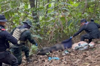 Army Reports 16 Drug Runners Killed