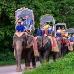 Elephant Camp Hosts Wedding Parade