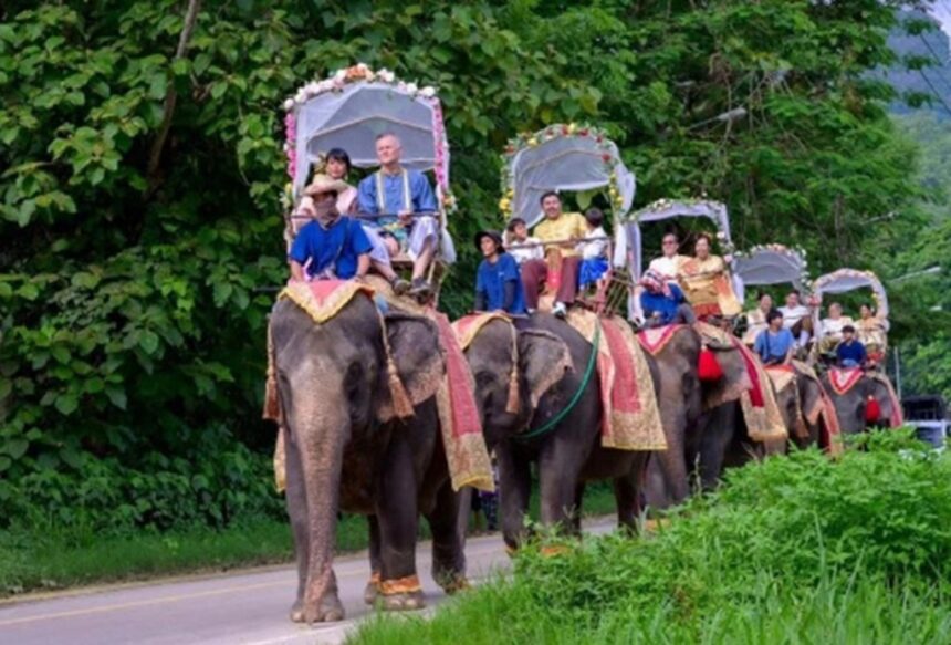 Elephant Camp Hosts Wedding Parade