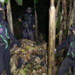 Chiang Rai, meth Seized Banana Grove