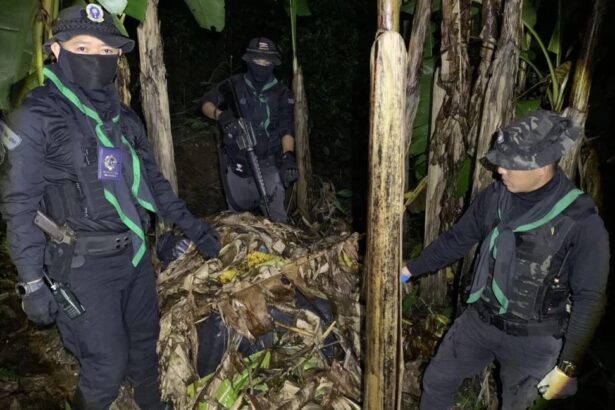 Chiang Rai, meth Seized Banana Grove