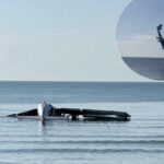 Police Aircraft Crashes
