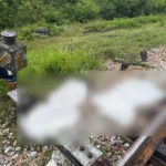Teenage Girls Aged 14-15 Killed at Train Crossing