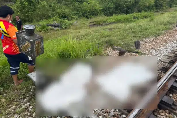 Teenage Girls Aged 14-15 Killed at Train Crossing