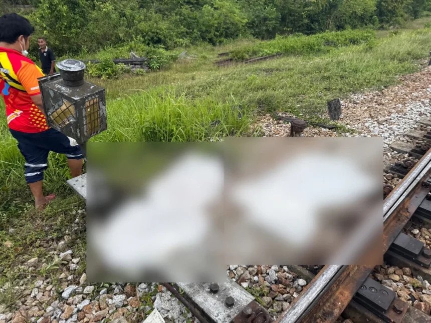 Teenage Girls Aged 14-15 Killed at Train Crossing
