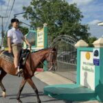 Student, horse, school, thailand