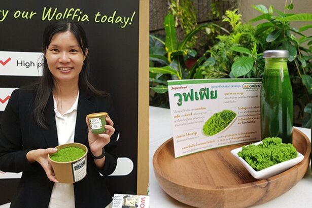 Thailand's Wolffia Gains Popularity as a Sustainable Superfood