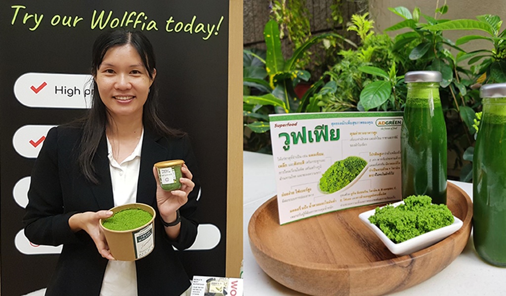 Thailand's Wolffia Gains Popularity as a Sustainable Superfood