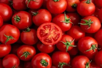 Tomatoes
