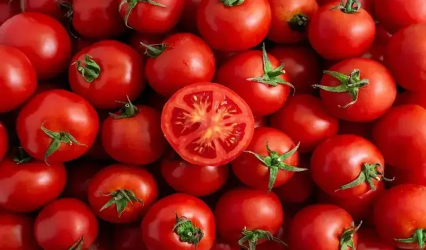 Tomatoes