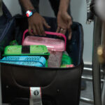 Reptiles Smuggled from Thailand