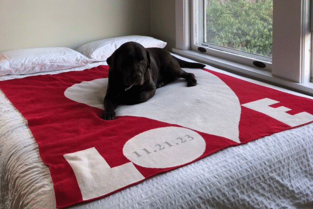 In2Green Personalized Blankets as a gift