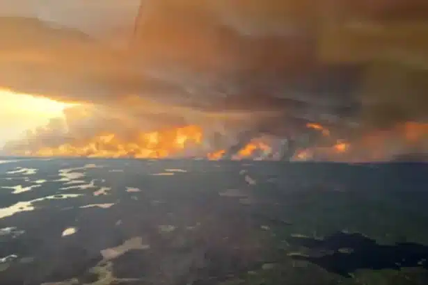 Wildfire Smoke Raises Lung Cancer Death Risk, Especially for Non-Smokers Major California Study