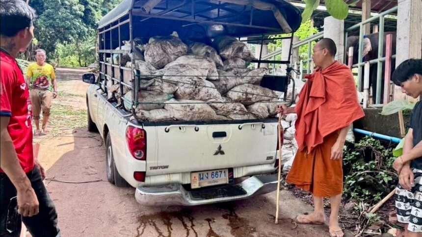 Monk Encourages Elephant Village Turn Dung into Organic Fertiliser for Local Farmers