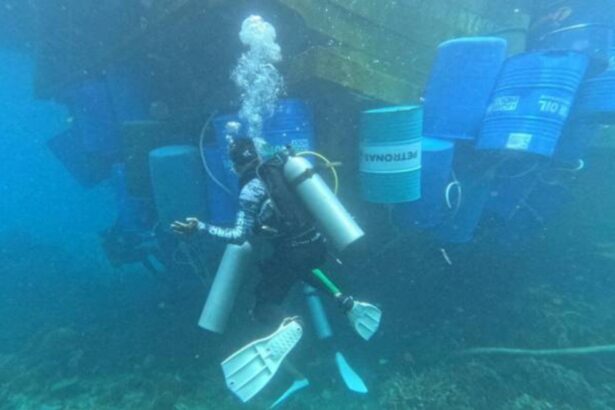 sunken freighter in Mu Ko Surin National Park coral