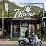 Thailand's Health Department Introduces Prescription Rule for Cannabis Sales