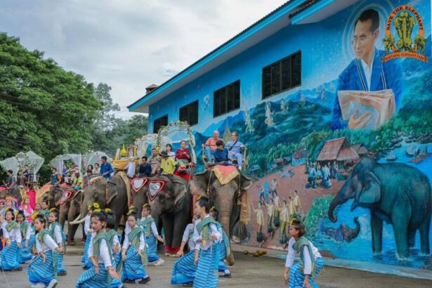 Mae Taeng Elephant Camp