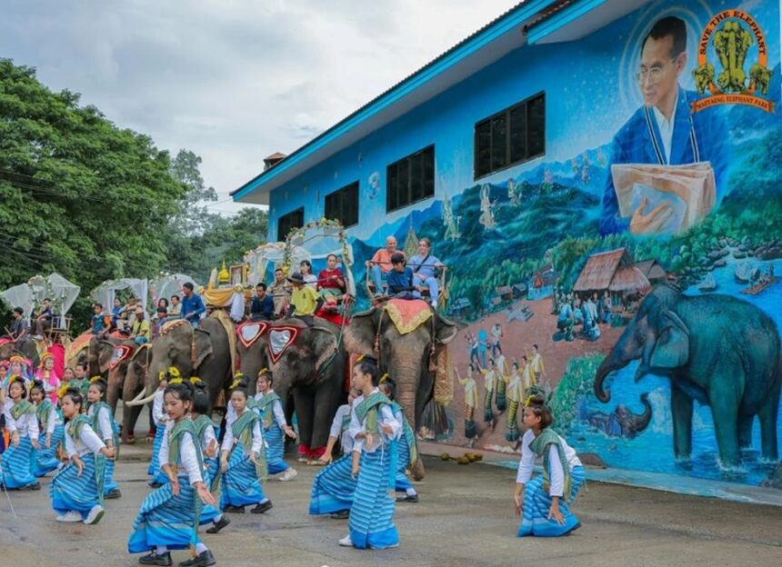 Mae Taeng Elephant Camp