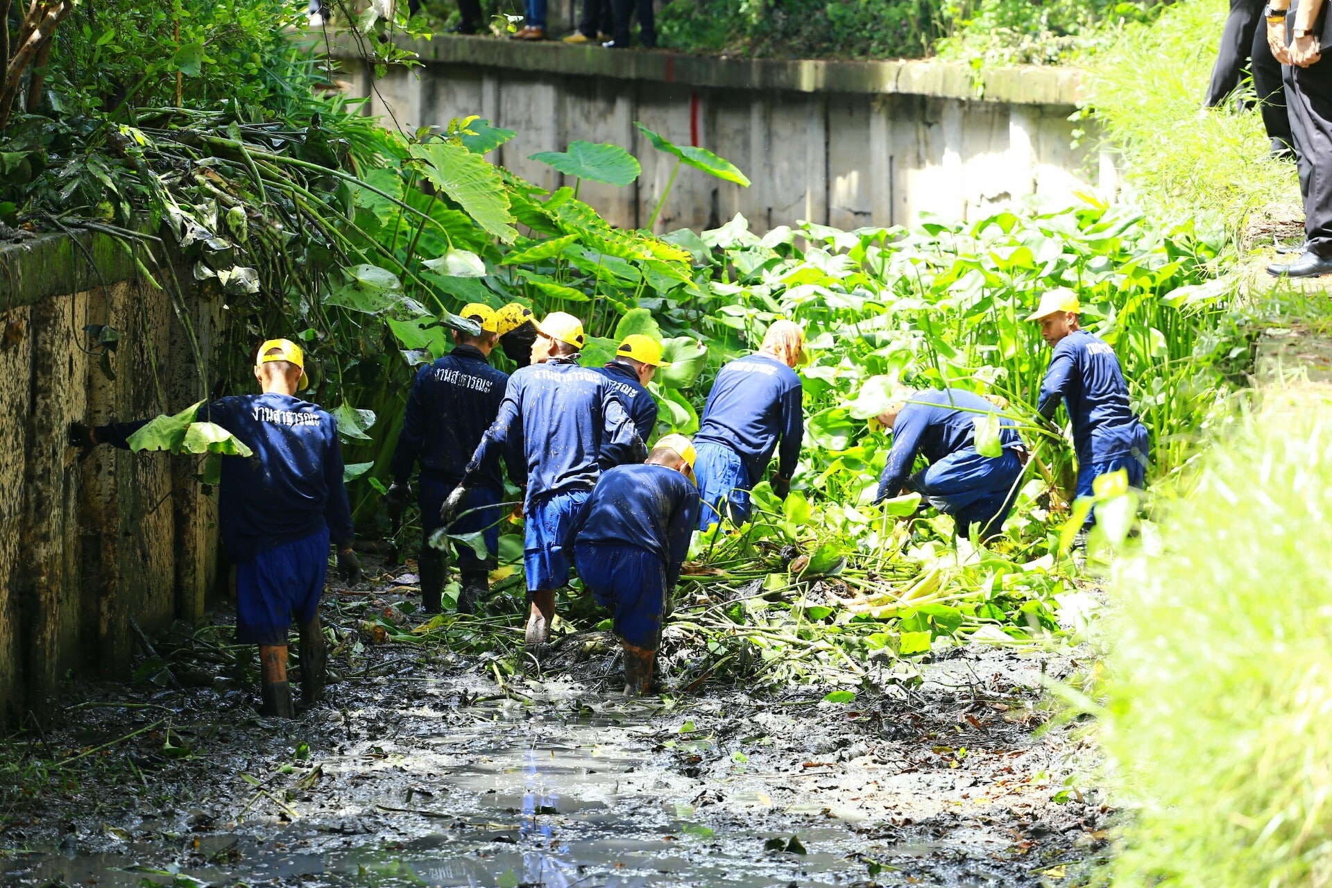 Chiang Rai, Prison Inmates