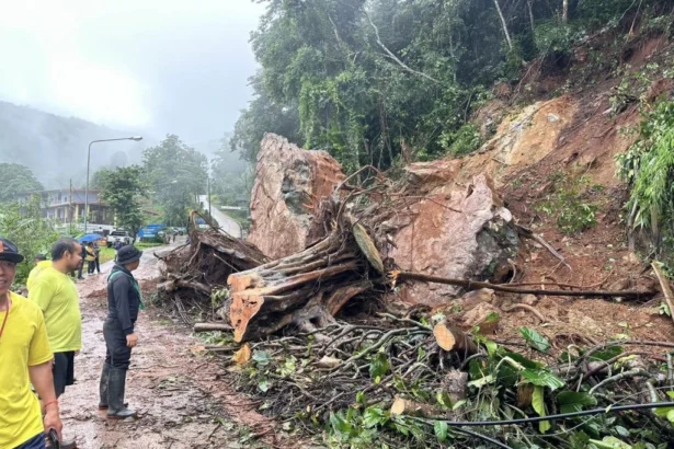 Landslide Chiang Rai