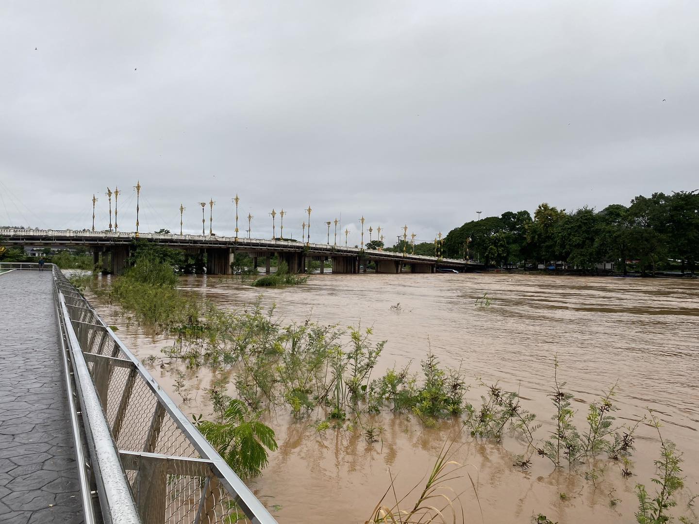 Chiang Rai Puts Up Red Warning Flags Along the Kok River as Water Levels Increase