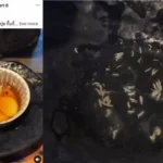 Customer Gets Maggot Supprise at Famous Chiang Mai Restaurant
