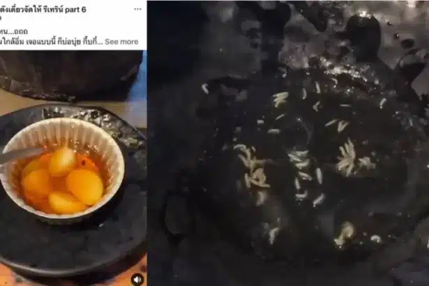 Customer Gets Maggot Supprise at Famous Chiang Mai Restaurant