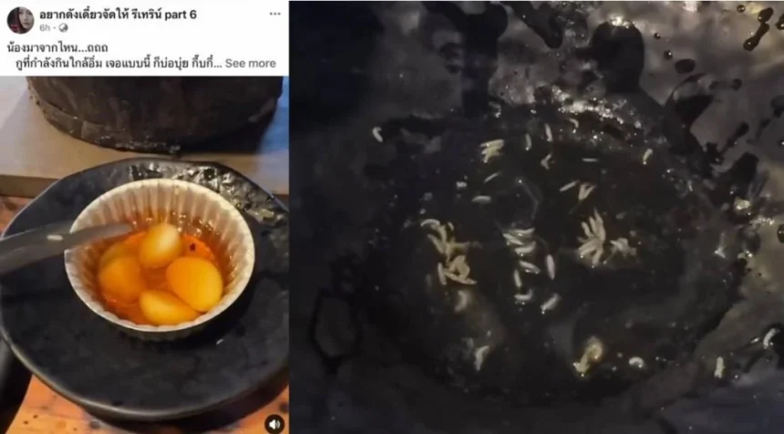Customer Gets Maggot Supprise at Famous Chiang Mai Restaurant