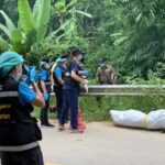Body of Chinese Man Found Dumped in Chiang Mai's Mae Rim Forest