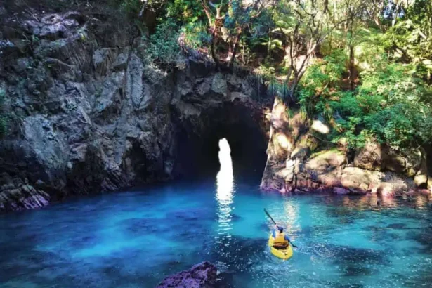 New Zealand Mystery Adventures