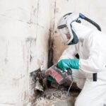 Professional Mould Removal