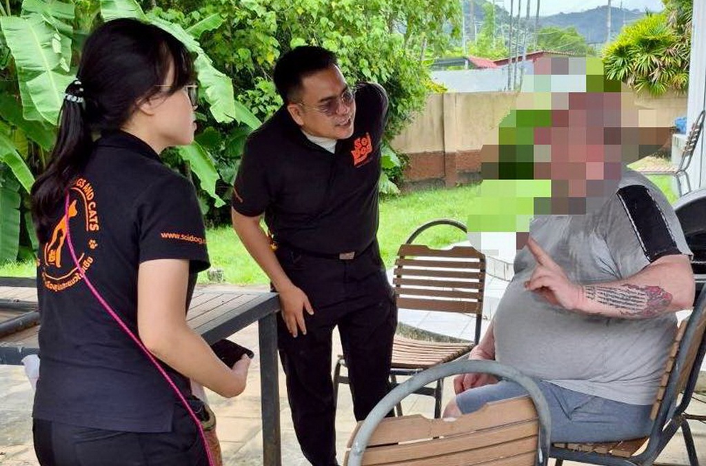 Siberian Husky Rescued in Phuket After Frenchman Burried it Alive