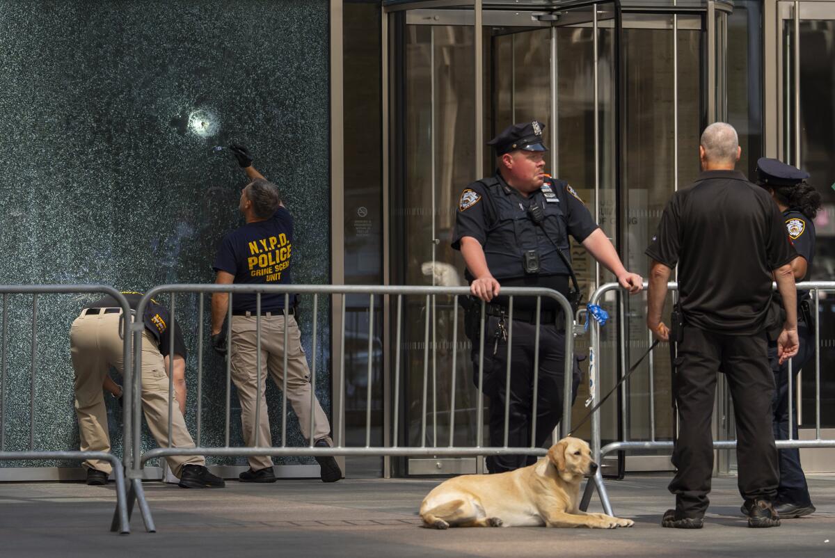 New York On Alert