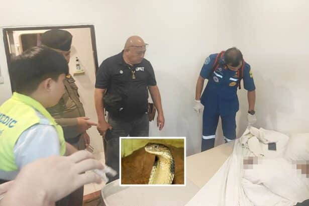 Man Playing With Cobra Found Dead in his Hotel Room